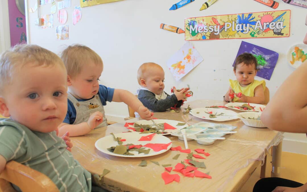 Nursery Practitioner