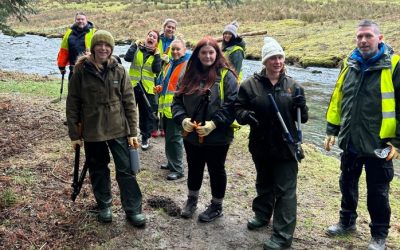 Building a Greener Future Together: Volunteer Power at the Patterdale Estate