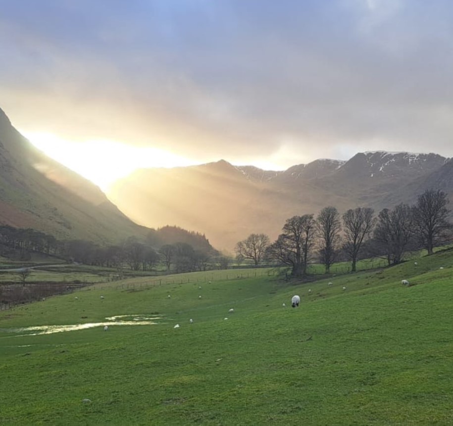 Beautiful Patterdale Estate