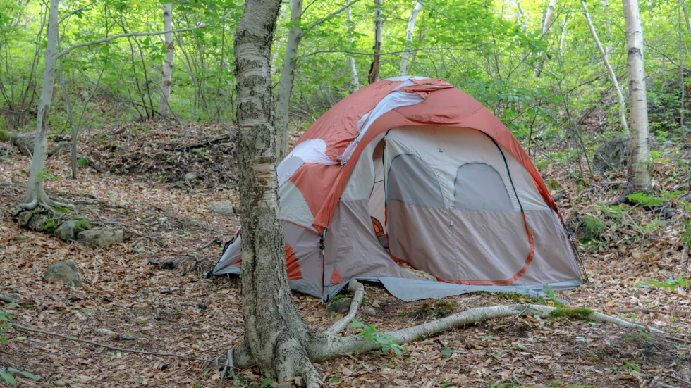 Housing Case Study: Joe’s Story